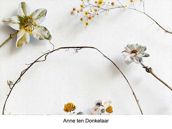 04-donkelaar 04-donkelaar